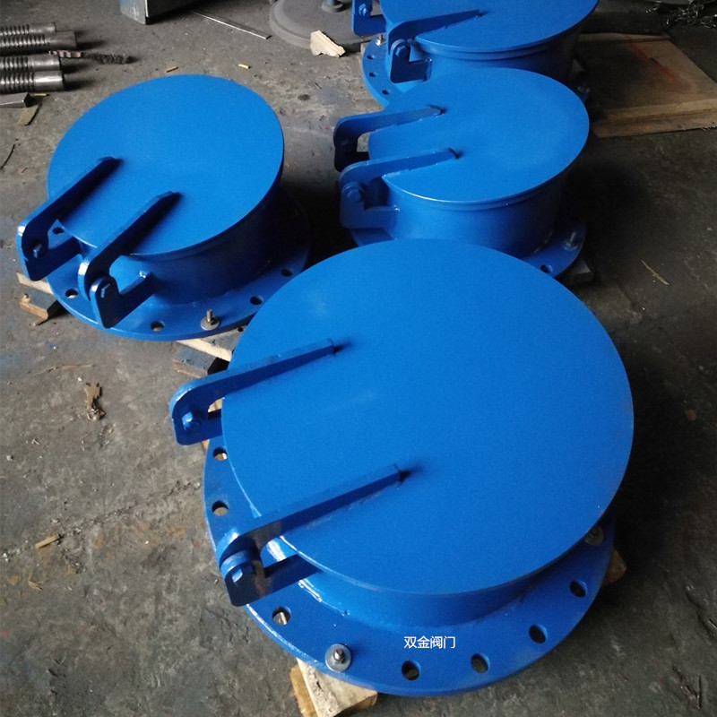 1631340737334746.jpg 浮箱式拍門20190831.jpg